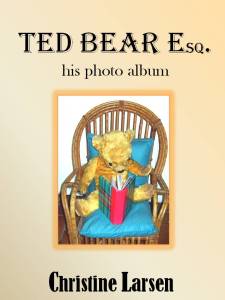 Ted Bear cover 2